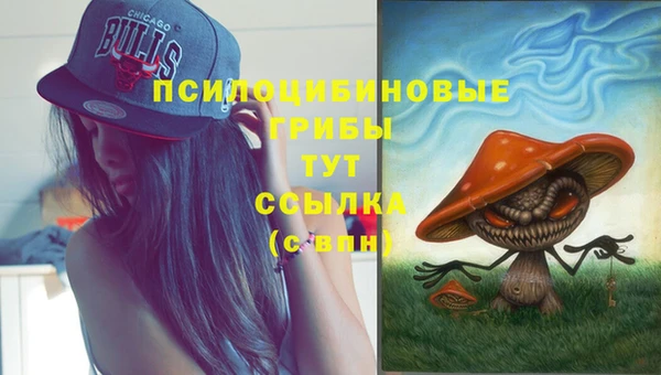 PSILOCYBIN Краснотурьинск